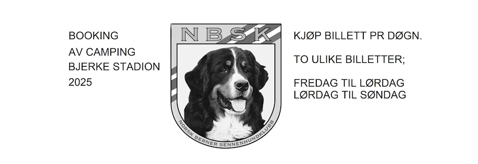 Camping Berner Sennen 2025